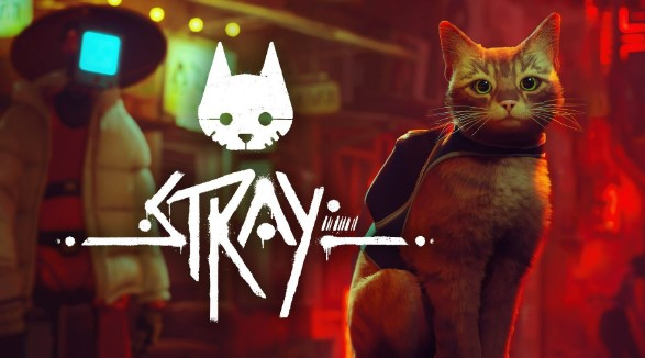 strayxbox