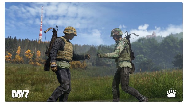 dayzdlc