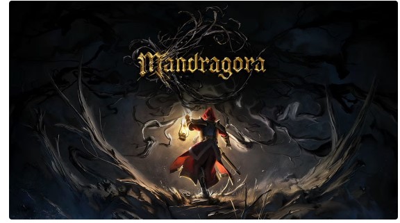 mandragora